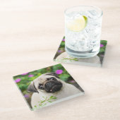 かわいい子犬の子犬の子犬の子犬ポートレート写真 – ガラスコースター (アングル)