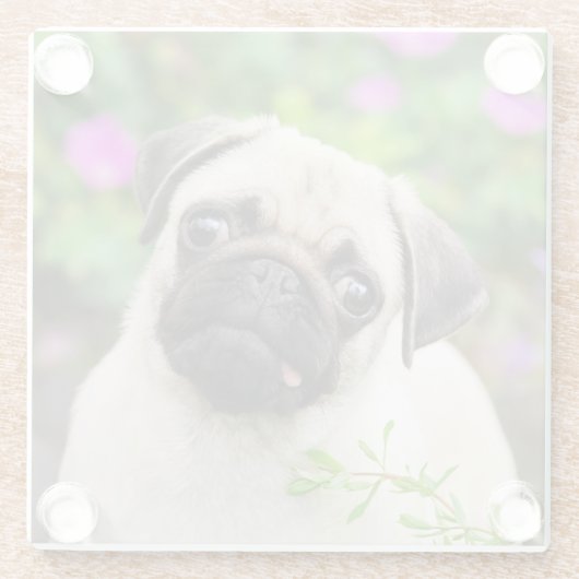 かわいい子犬の子犬の子犬の子犬ポートレート写真 – ガラスコースター (裏面)