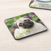 かわいい子犬の子犬の子犬顔ペット写真 – - コースター (左側)