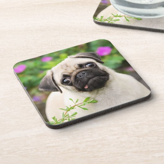 かわいい子犬の子犬の子犬顔ペット写真 – - コースター (左側)