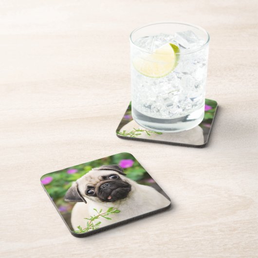 かわいい子犬の子犬の子犬顔ペット写真 – - コースター (右側)