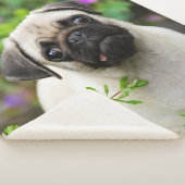かわいい子犬の子犬パグ顔ペットの写真" シェルパブランケット (3/4)