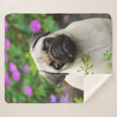 かわいい子犬の子犬パグ顔ペットの写真" シェルパブランケット (正面(横))