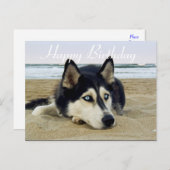 かわいい子犬の恋人シベリアハスキー誕生日 ポストカード (正面/裏面)