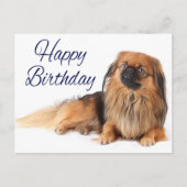 かわいい子犬の恋人ペキネーゼ誕生日 ポストカード (正面)