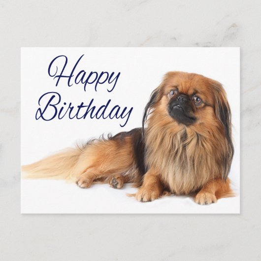 かわいい子犬の恋人ペキネーゼ誕生日 ポストカード (正面)