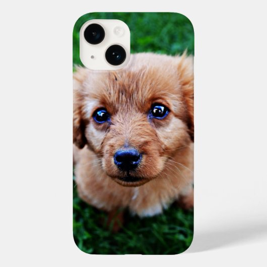 かわいい子犬の愛らしい写真 Case-Mate iPhoneケース (裏面)