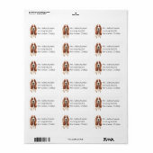 かわいい子犬の水の色バセットハウンド ラベル (フルシート)