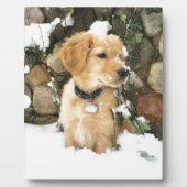 かわいい子犬の研究室レトリバー フォトプラーク (正面)
