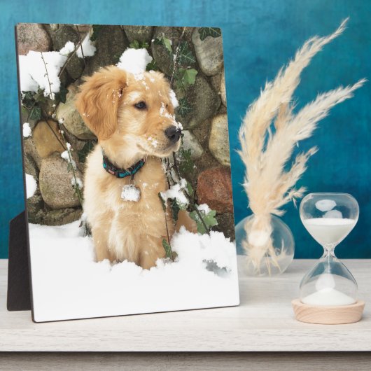 かわいい子犬の研究室レトリバー フォトプラーク (側面)