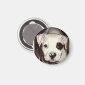 かわいい子犬の磁石 マグネット (正面/裏面)