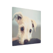 かわいい子犬の肖像写真金属壁アート メタルプリント (アングル)