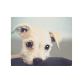 かわいい子犬の肖像写真金属壁アート メタルプリント