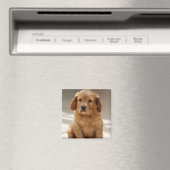 かわいい子犬の肖像写真 マグネット (インサイチュ (食洗機))
