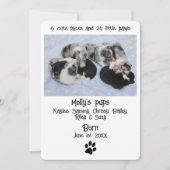 かわいい子犬の誕生のお知らせカード (正面)