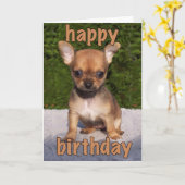 かわいい子犬の誕生日カード カード (黄色い花)
