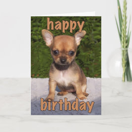 かわいい子犬の誕生日カード カード