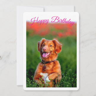 かわいい子犬の誕生日パーティー招待状 招待状