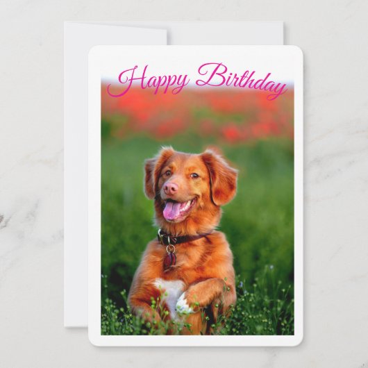 かわいい子犬の誕生日パーティー招待状 招待状 (正面)