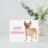 かわいい子犬の誕生日面白いチワワの誕生日    ポストカード (スタンド正面)