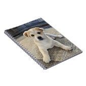 かわいい子犬の過負荷スパイラルフォトノートブック ノートブック (右側)