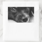 かわいい子犬の顔シール 長方形シール (バッグ)