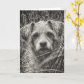 かわいい子犬の黒と白いポートレート写真 カード (黄色い花)