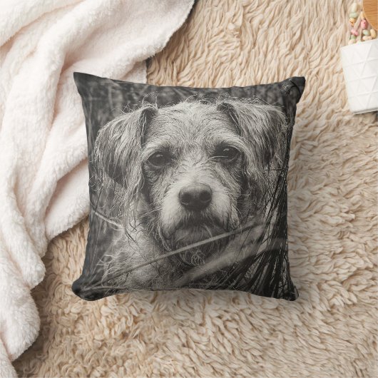 かわいい子犬の黒と白いポートレート写真 クッション (ブランケット)