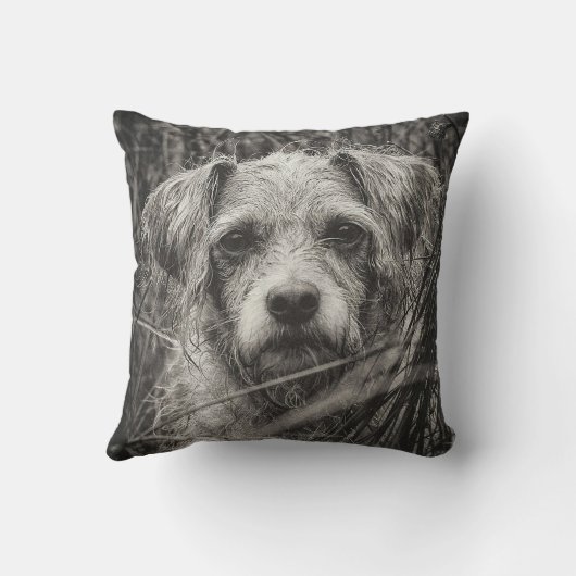 かわいい子犬の黒と白いポートレート写真 クッション (裏面)