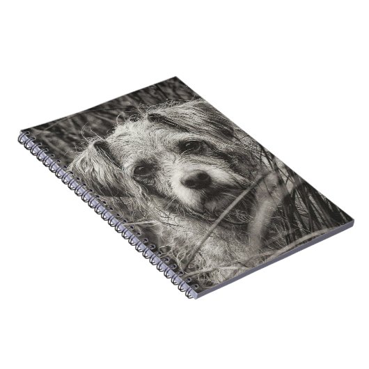 かわいい子犬の黒と白いポートレート写真 ノートブック (右側)