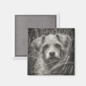 かわいい子犬の黒と白いポートレート写真 マグネット (正面/裏面)