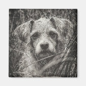 かわいい子犬の黒と白いポートレート写真 マグネット (正面)