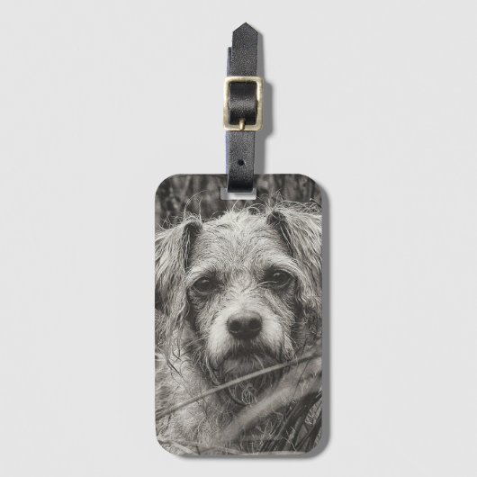 かわいい子犬の黒と白いポートレート写真 ラゲッジタグ (正面縦)