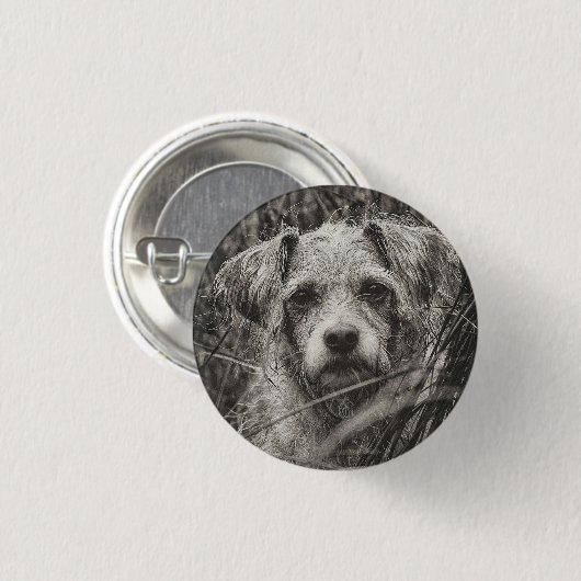 かわいい子犬の黒と白いポートレート写真 缶バッジ (正面&裏面)