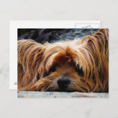 かわいい子犬はがき ポストカード (正面/裏面)