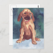 かわいい子犬はがき ポストカード (正面/裏面)