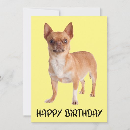かわいい子犬イエローチワおもしろいワ誕生日 カード (正面)