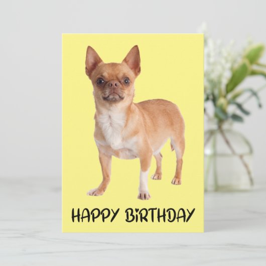 かわいい子犬イエローチワおもしろいワ誕生日 カード (スタンド正面)