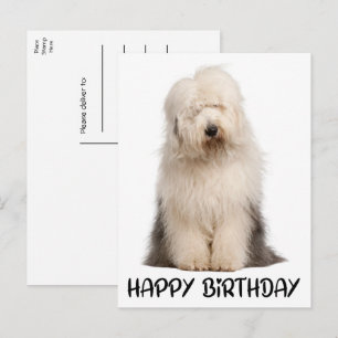 かわいい子犬オールドイングリッシュシープドッグ誕生日 ポストカード