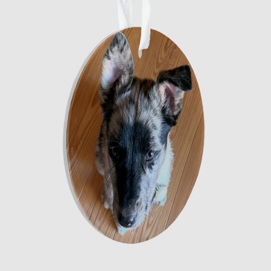かわいい子犬カスタムの写真を両面に追加 オーナメント (正面)