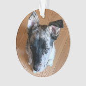 かわいい子犬カスタムの写真を両面に追加 オーナメント (正面)