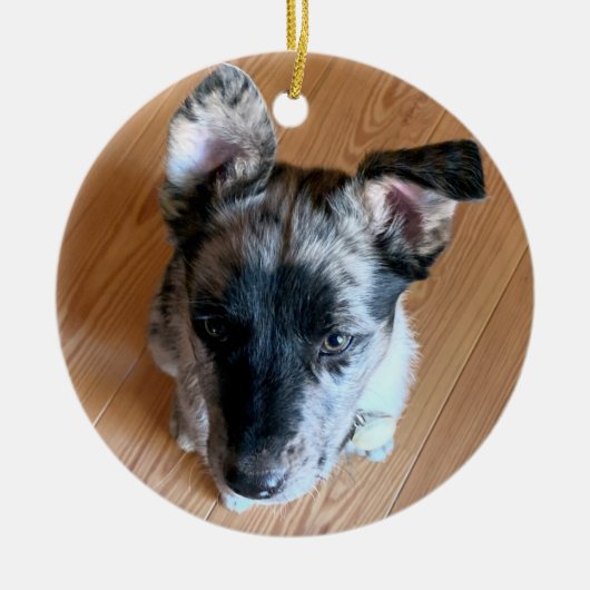 かわいい子犬カスタムの写真を両面に追加 セラミックオーナメント (正面)