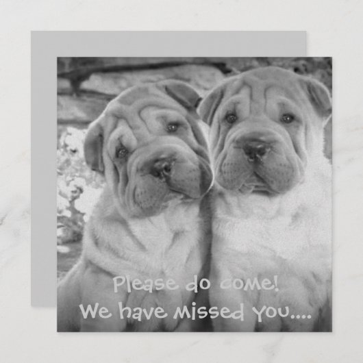 かわいい子犬カップル　パーソナライズパーティー招待状 招待状 (正面/裏面)