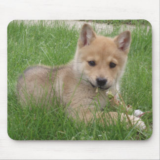 かわいい子犬コンピュータマウスパッド マウスパッド