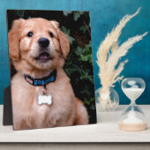 かわいい子犬ゴールデンレトリバーパピー フォトプラーク (側面)