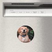 かわいい子犬ゴールデンレトリバーパピー マグネット (インサイチュ (食洗機))