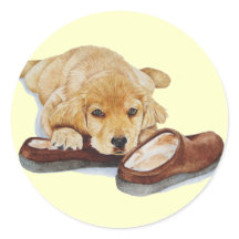 かわいい子犬ゴールデンレトリバー犬かわいいスリッパ