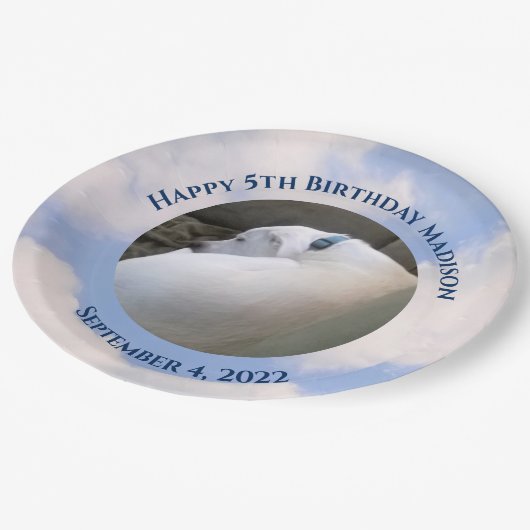 かわいい子犬スリーピングブルースカイ5th誕生日 ペーパープレート (アングル)