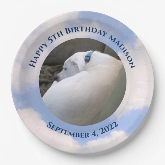 かわいい子犬スリーピングブルースカイ5th誕生日 ペーパープレート (正面)