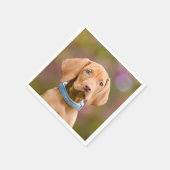 かわいい子犬ハンガリーのビズラ犬の子犬の写真/. スタンダードカクテルナプキン (角)